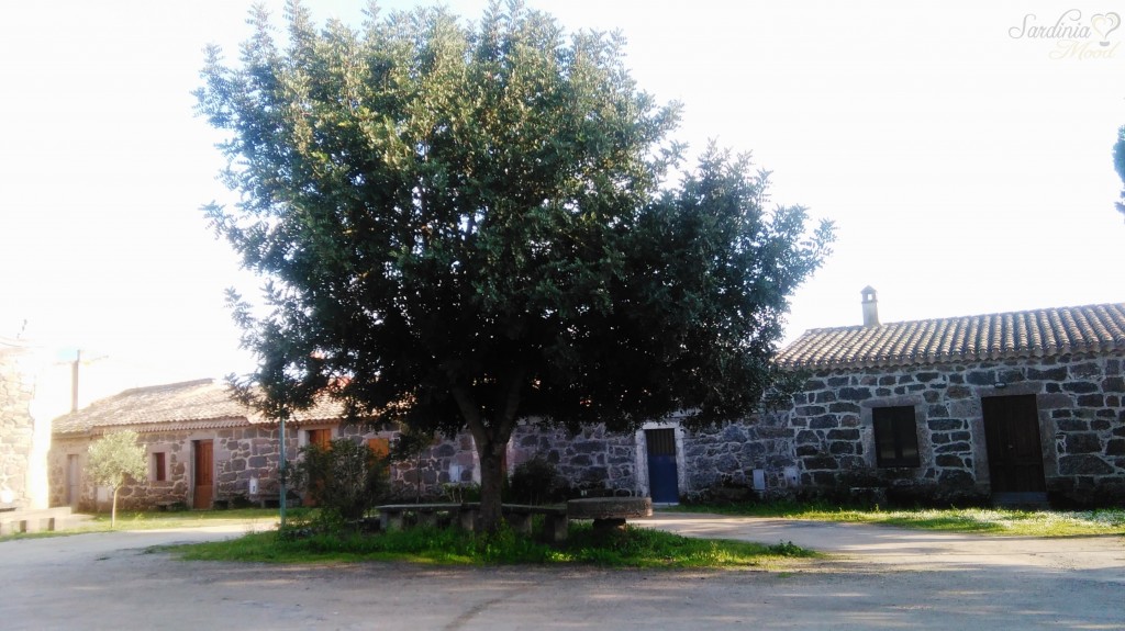 Novenari