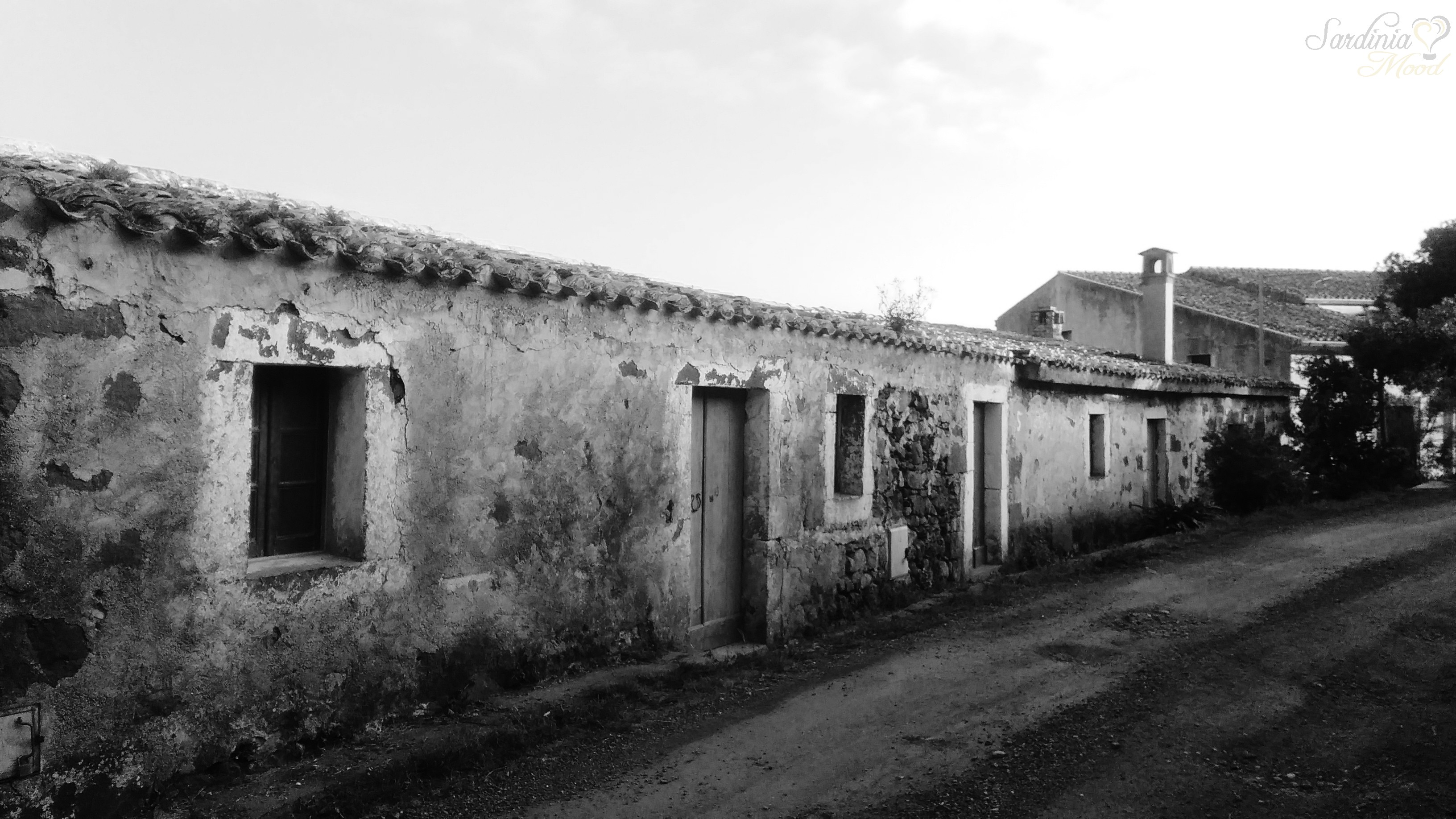 Il Novenario di San Serafino Novenari