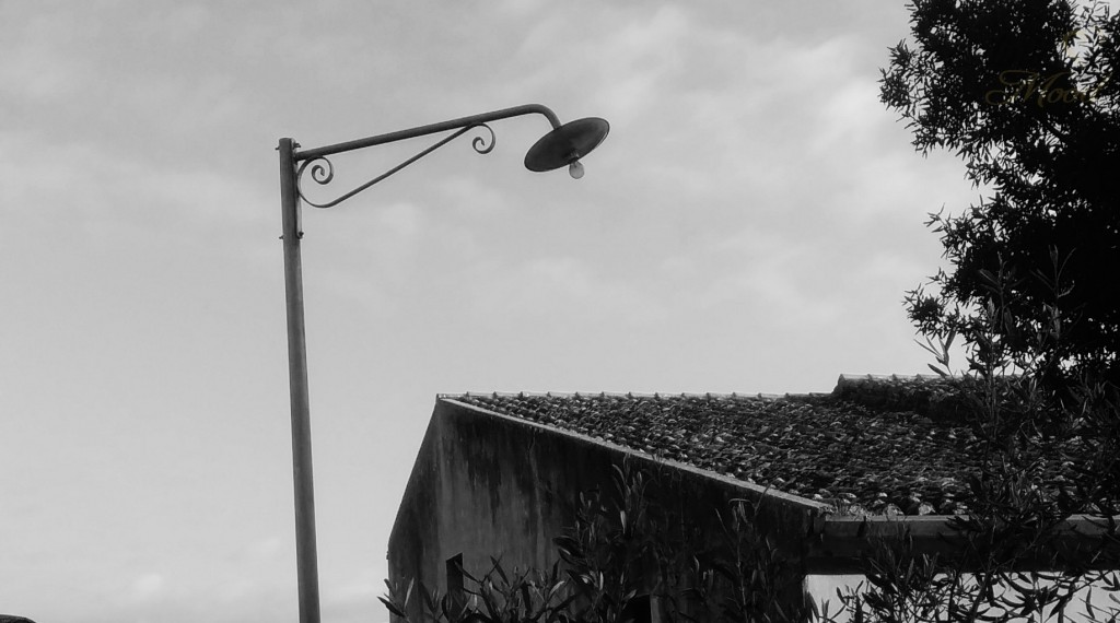 Il Novenario di San Serafino Novenari