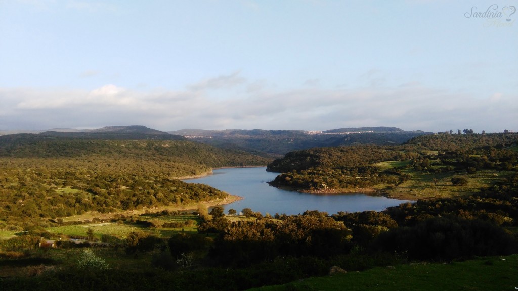 Il lago Omodeo Novenari