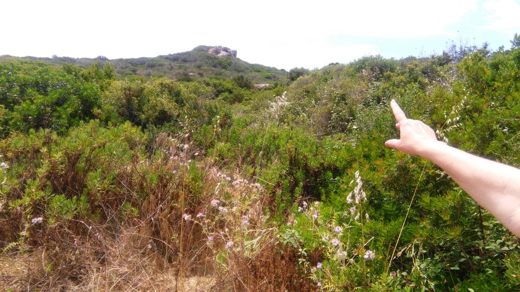 Lu Brandali - siti archeologici gallura Il nuraghe lassù in alto - Lu Brandali