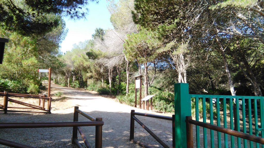 Ingresso a Punta Giglio