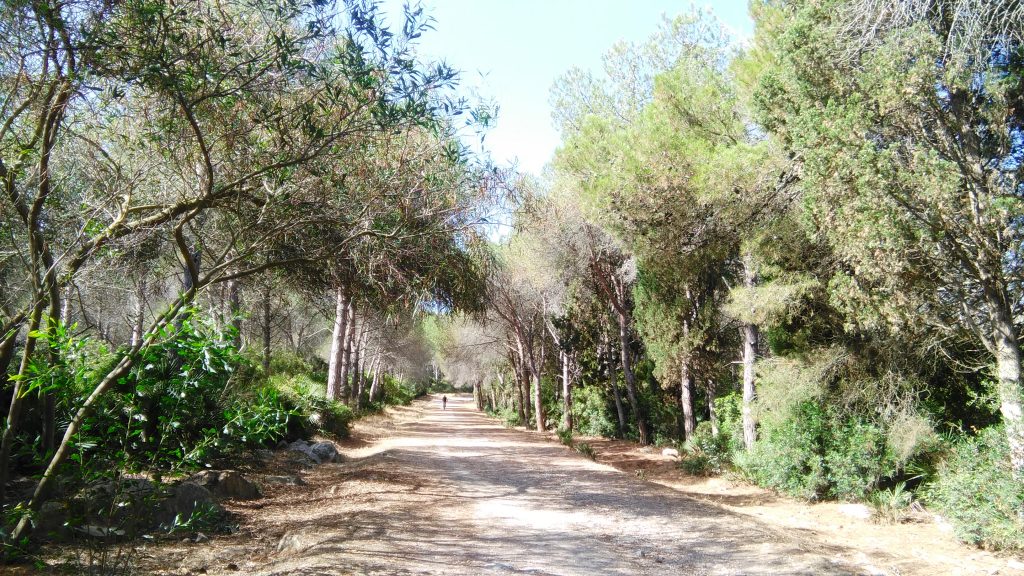 I sentieri di Punta Giglio