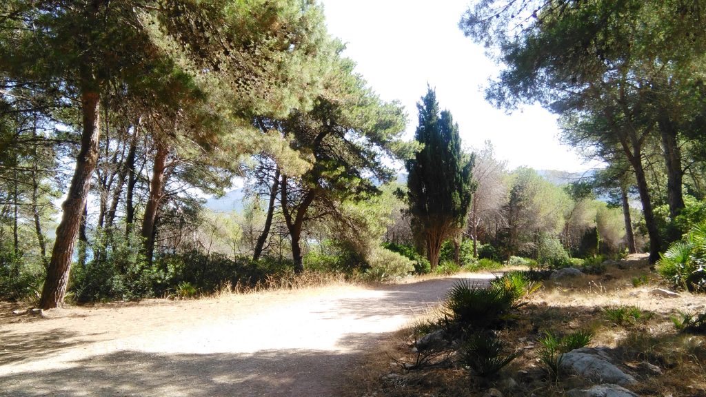 La flora di Punta Giglio