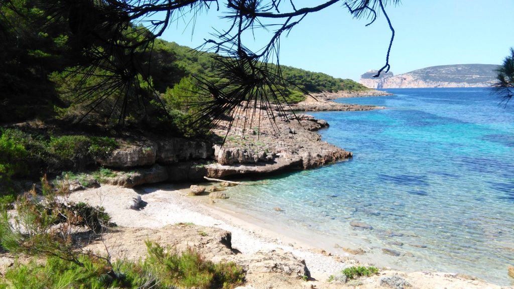 Calette a Punta Giglio