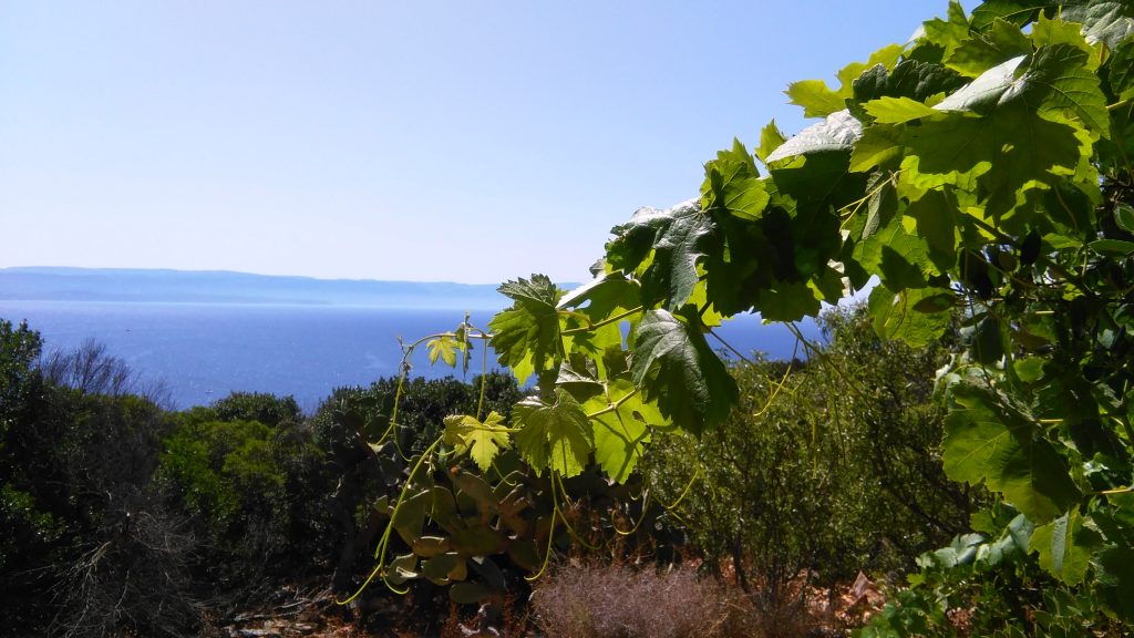 La vista dalla caserma - Punta Giglio