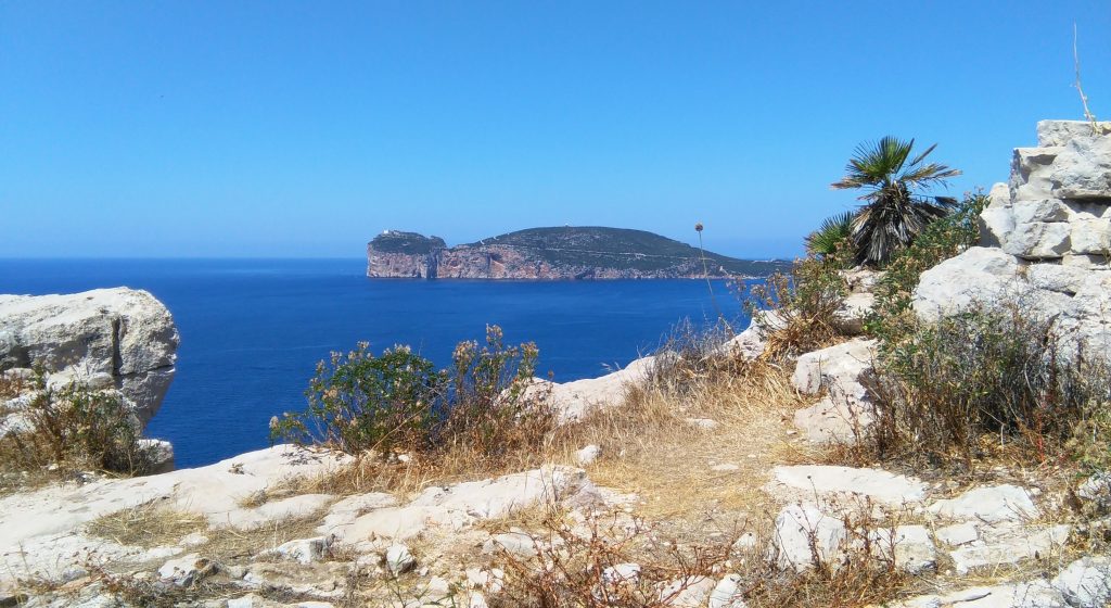 Capo Caccia da Punta Giglio