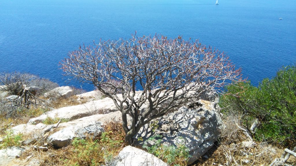 Il panorama da Punta Giglio
