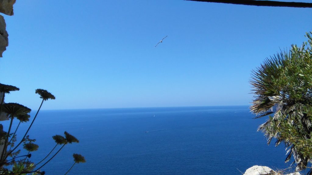 Il panorama dal fortino - Punta Giglio