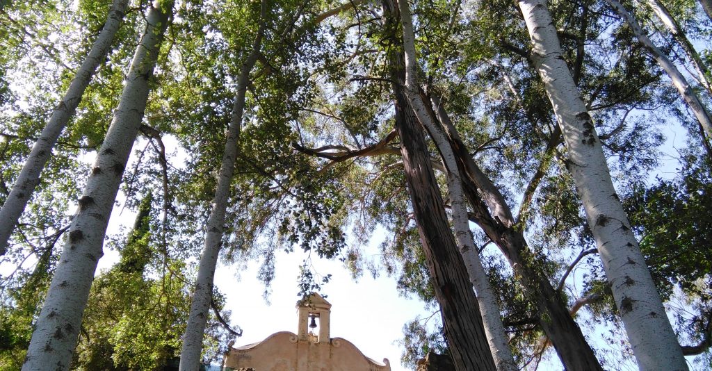 La chiesa della Pietà nell'area de Su Gologone