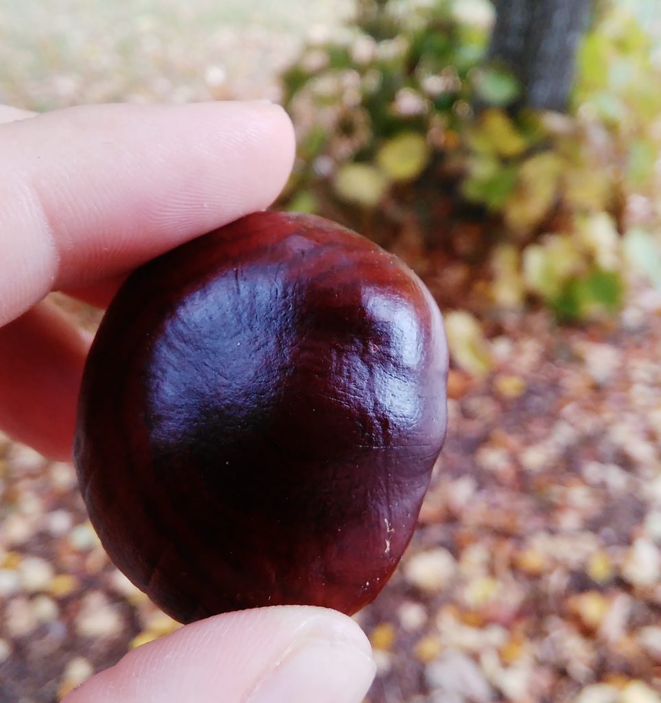 Piovono castagne a Lodine