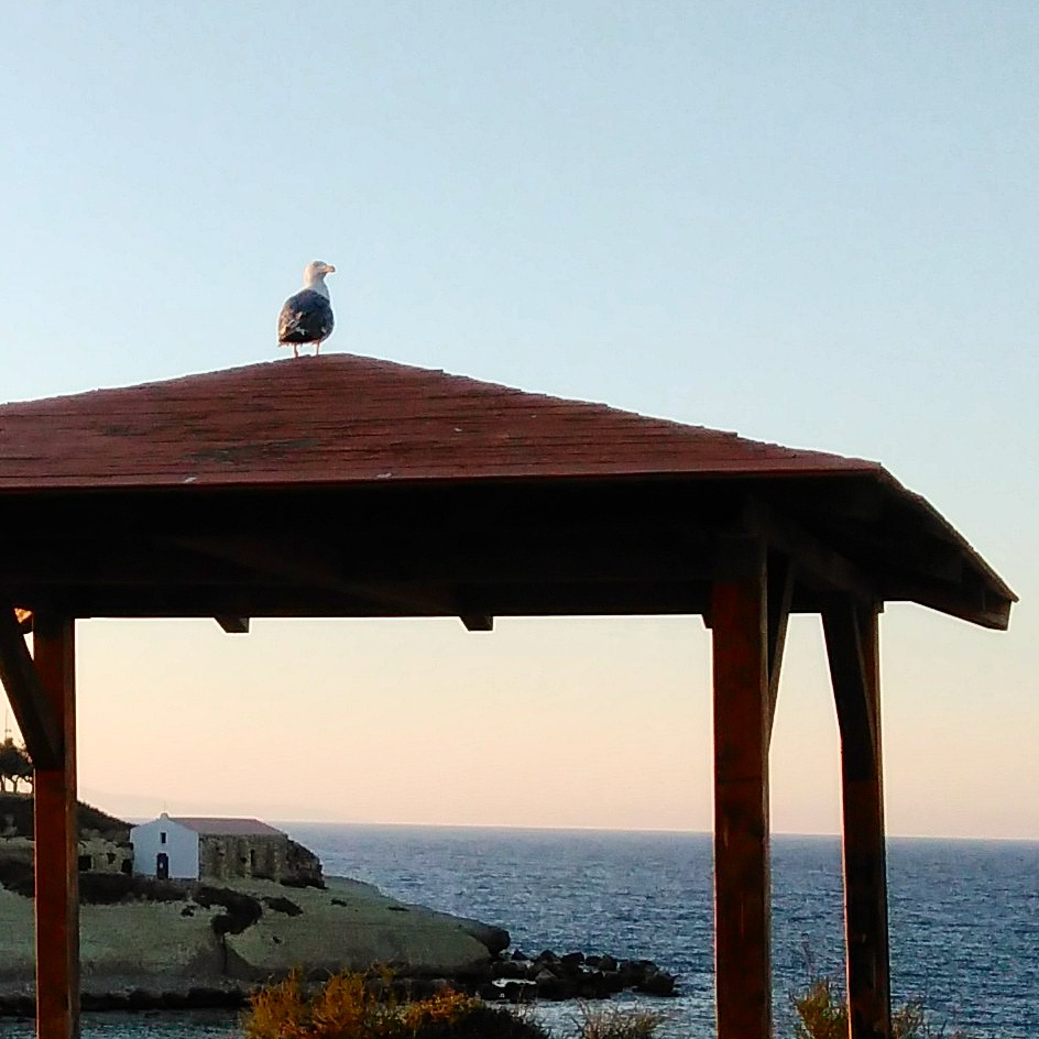 Balai al tramonto