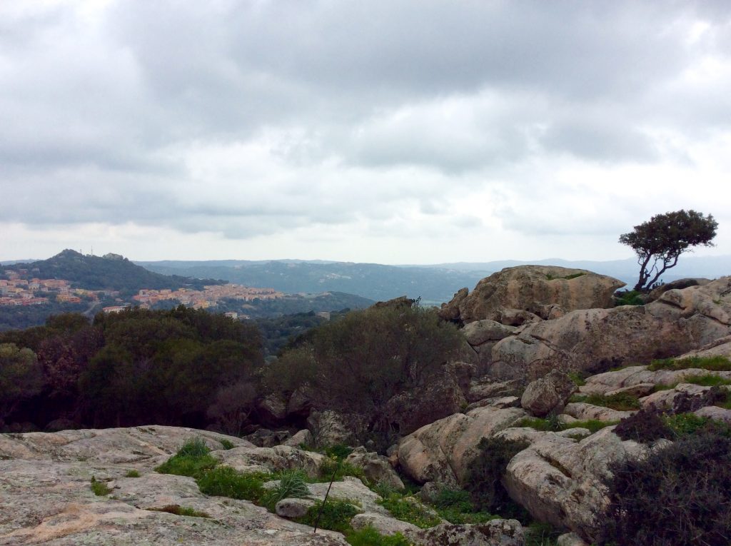 Luogosanto. Alberi piegati e rocce