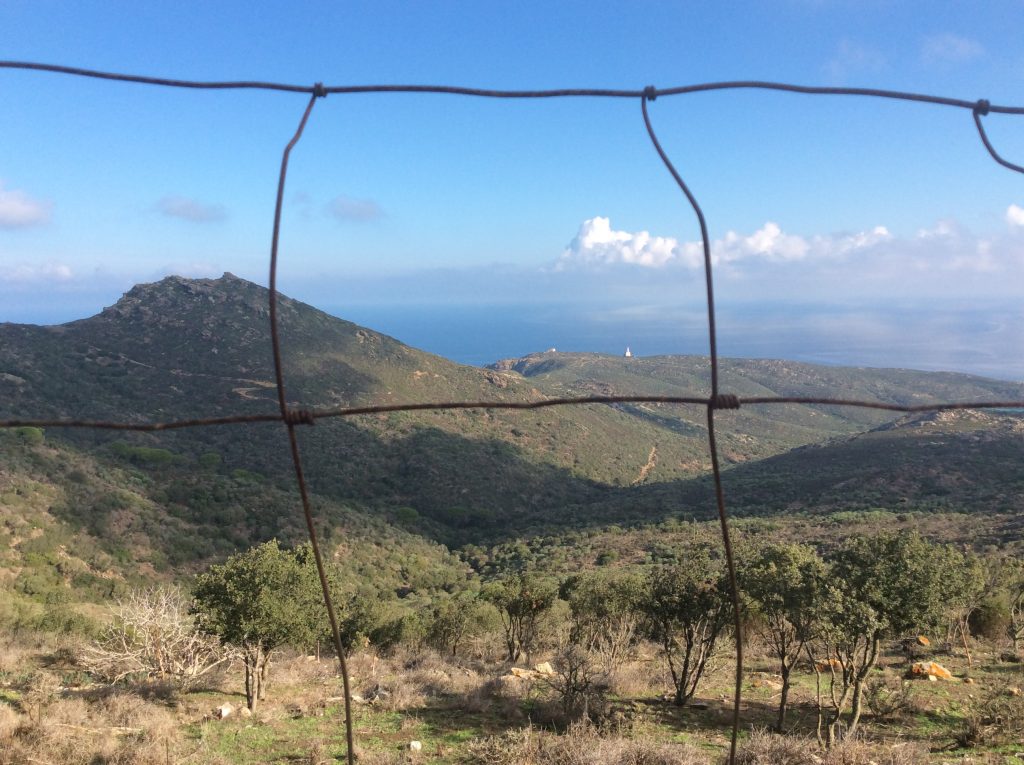 Isola dell'Asinara