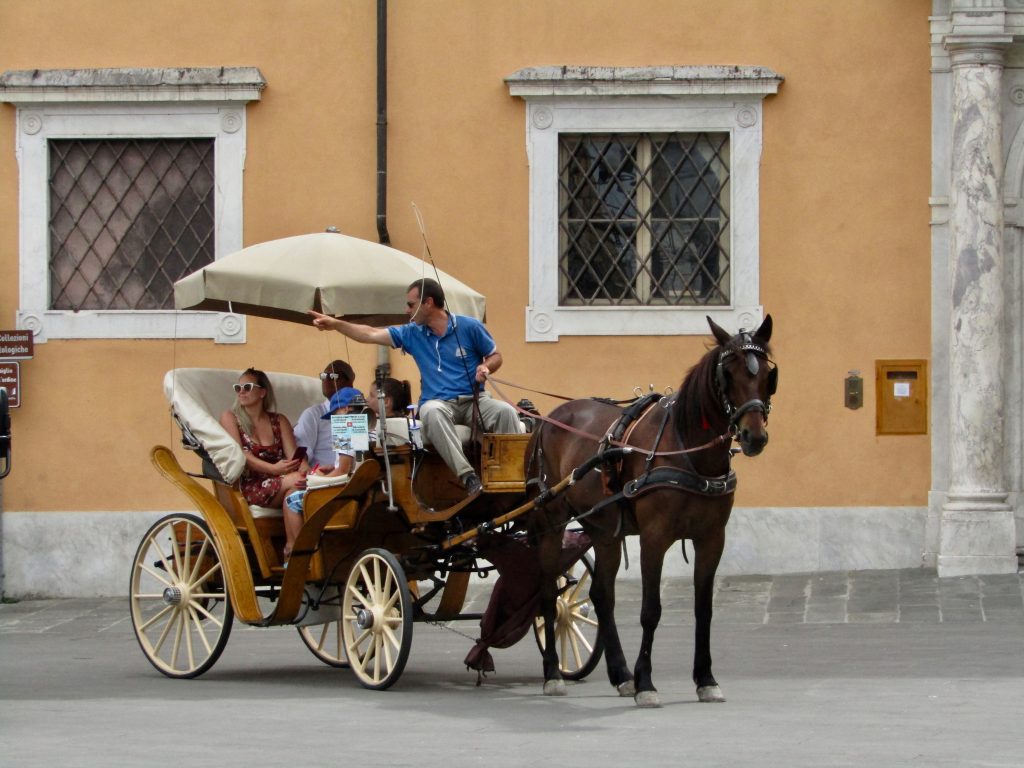 Pisa