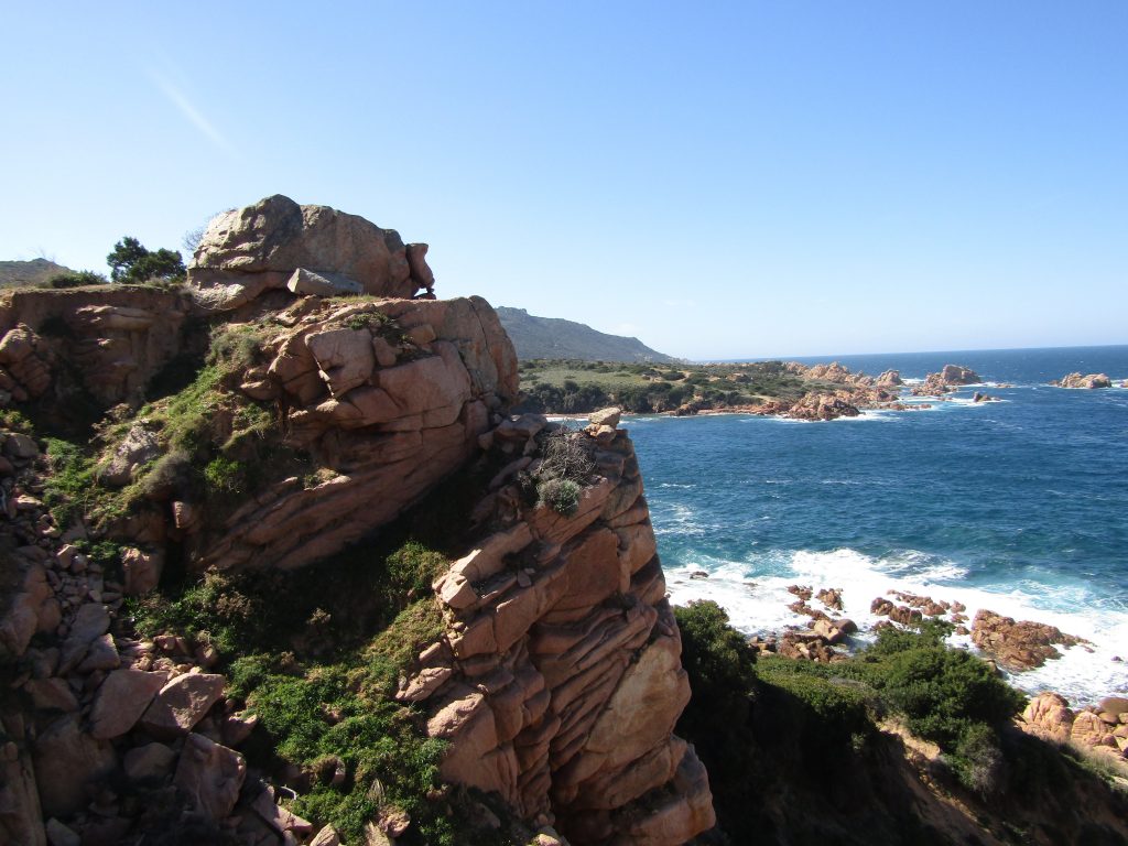 Il bradipo di Costa Paradiso