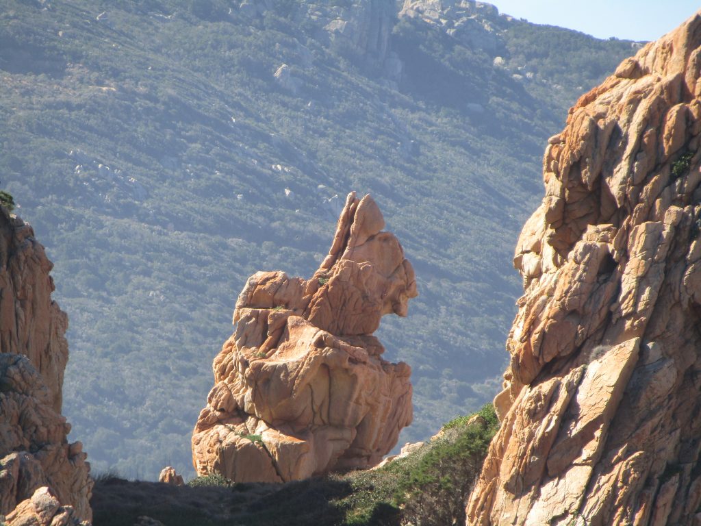 Il cavallo di Costa Paradiso